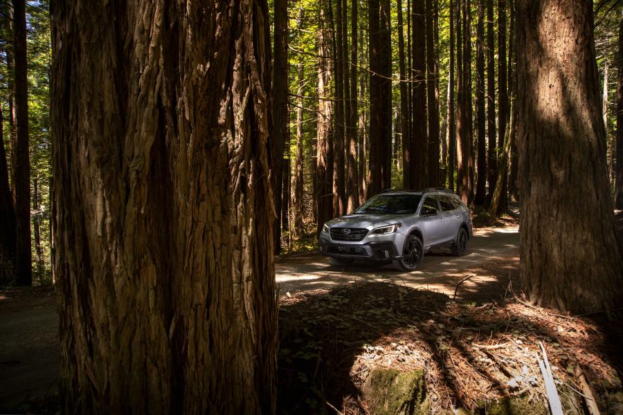  Subaru Outback Onyx Edition XT 2019 года  (NA) (фото 14 из 40)
